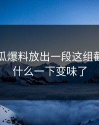 最近吃瓜爆料放出一段这组截图，为什么一下变味了