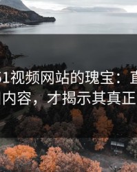 深藏于51视频网站的瑰宝：直到有人翻出旧内容，才揭示其真正的价值