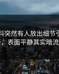 吃瓜爆料突然有人放出细节引来一片质疑，表面平静其实暗流翻涌