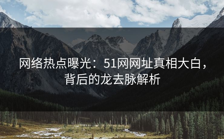 网络热点曝光：51网网址真相大白，背后的龙去脉解析