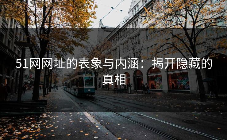 51网网址的表象与内涵：揭开隐藏的真相