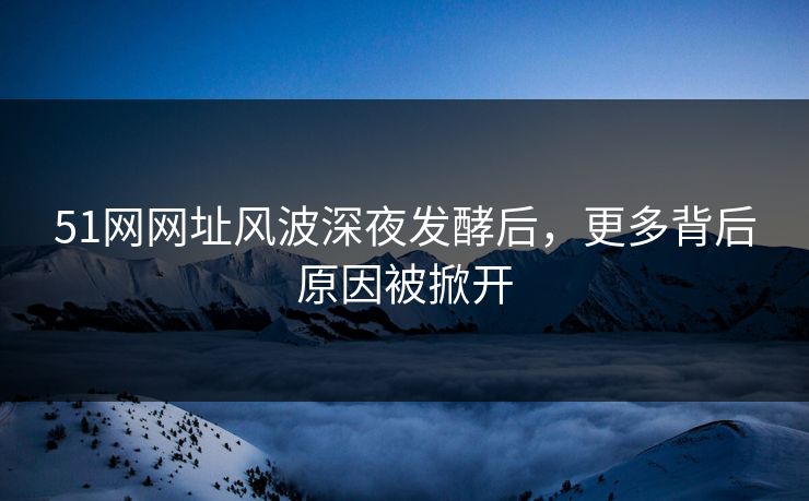 51网网址风波深夜发酵后，更多背后原因被掀开
