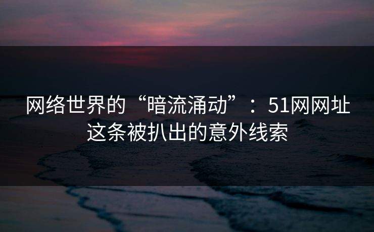 网络世界的“暗流涌动”：51网网址这条被扒出的意外线索