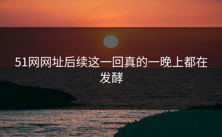 51网网址后续这一回真的一晚上都在发酵