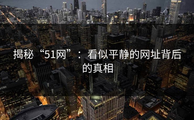 揭秘“51网”：看似平静的网址背后的真相