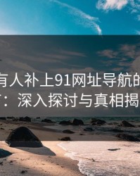 评论区有人补上91网址导航的关键细节：深入探讨与真相揭秘