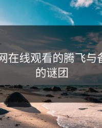 探秘91网在线观看的腾飞与备用入口的谜团
