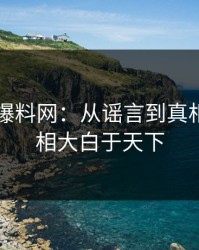 揭秘51爆料网：从谣言到真相，让真相大白于天下