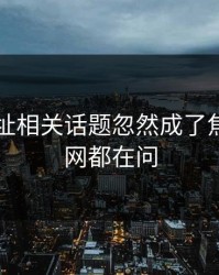 51网网址相关话题忽然成了焦点，全网都在问