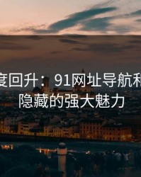 深夜热度回升：91网址导航和91视频隐藏的强大魅力