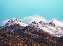 51网网址完整版脉络热度刚退又起，真的绷不住了