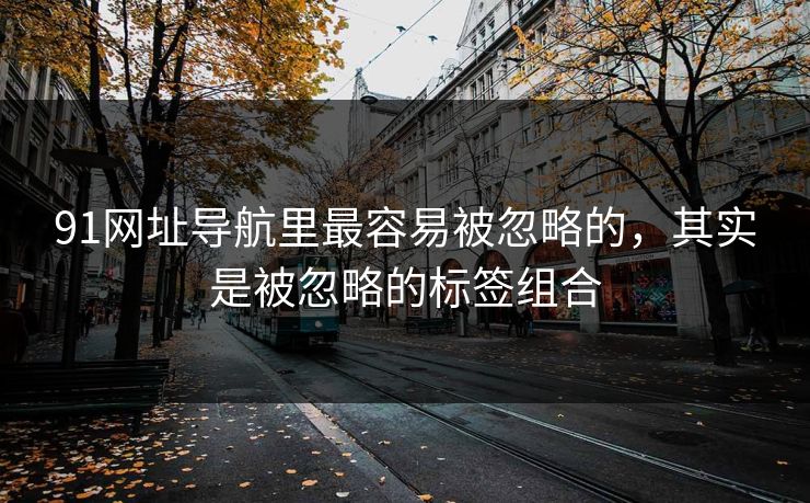91网址导航里最容易被忽略的，其实是被忽略的标签组合