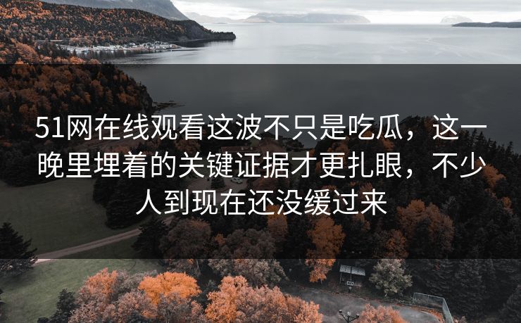 51网在线观看这波不只是吃瓜，这一晚里埋着的关键证据才更扎眼，不少人到现在还没缓过来
