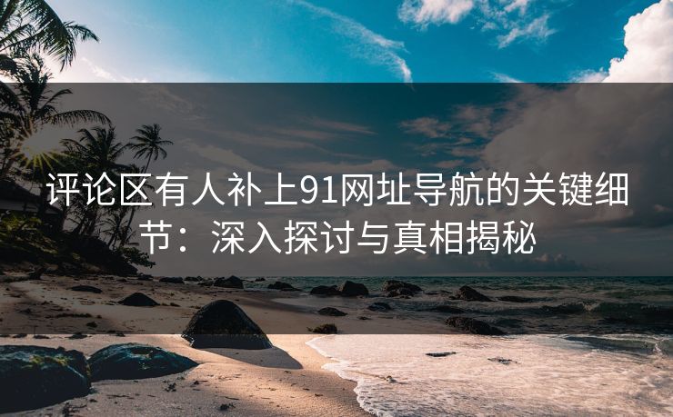 评论区有人补上91网址导航的关键细节：深入探讨与真相揭秘